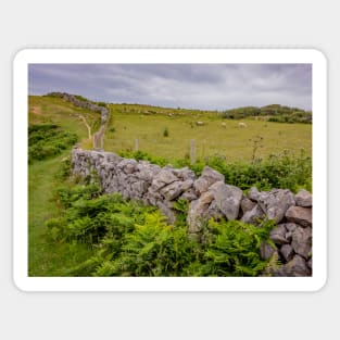 A view from the Welsh Coastal path Sticker